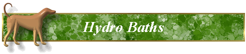 Hydro Baths